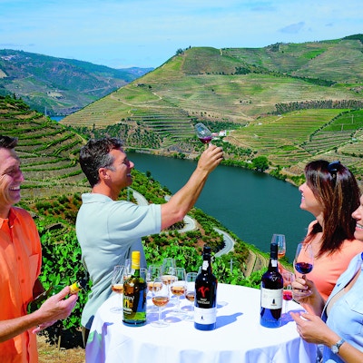 Douro vd sandeman winetasting