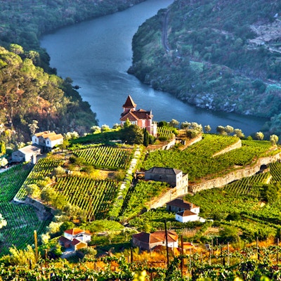 Landskap i Douro Valley, Portugal