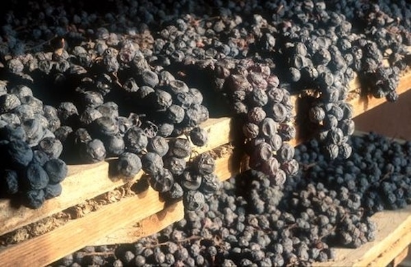 Vin vandring valpolicella amarone 2